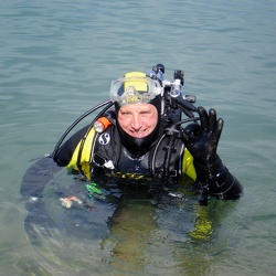 2006
